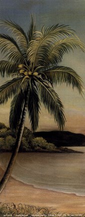 Framed Palm at Seaside Print