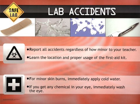 Framed Lab Accidents Print