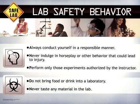 Framed Lab Safety Behavior Print