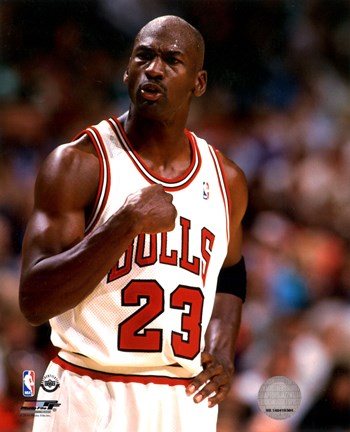 Framed Michael Jordan 1994-95 basketball Action Print