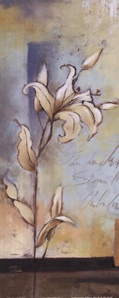 Framed White Lilies II Print