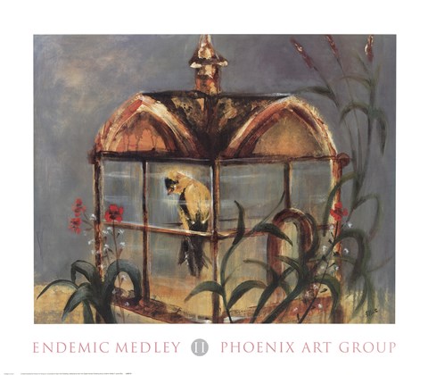 Framed Endemic Medley II Print