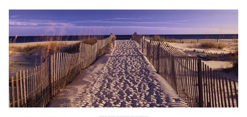 Framed Pathway to the Beach Print