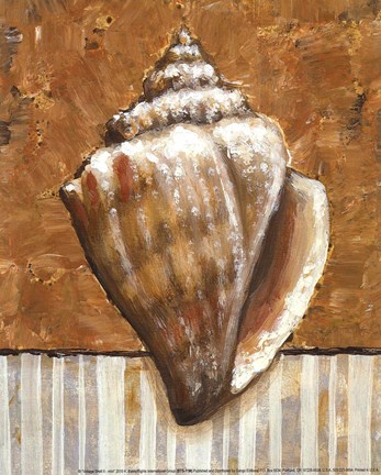 Framed Vintage Shell II - mini Print