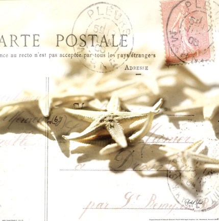 Framed Postal Shells II Print