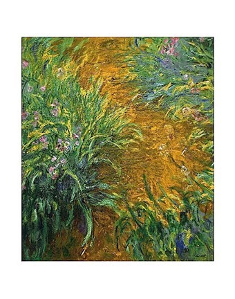 Framed Path in the Iris Garden Print