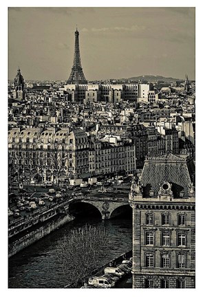 Framed Paris Rooftops Print