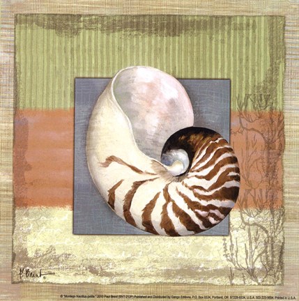Framed Montego Nautilus- petite Print