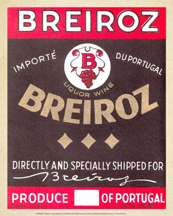 Framed Breiroz Print