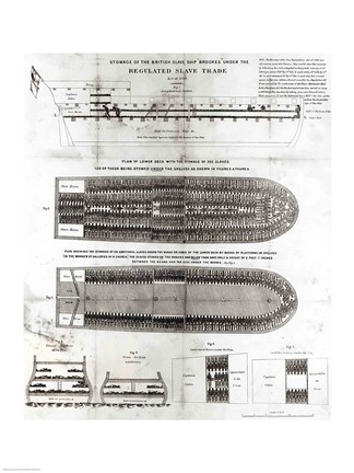 Framed Stowage of the British Slave Ship &#39;Brookes&#39; Under the Regulated Slave Trade Act of 1788 Print