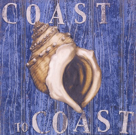 Framed Coastal USA Conch Print