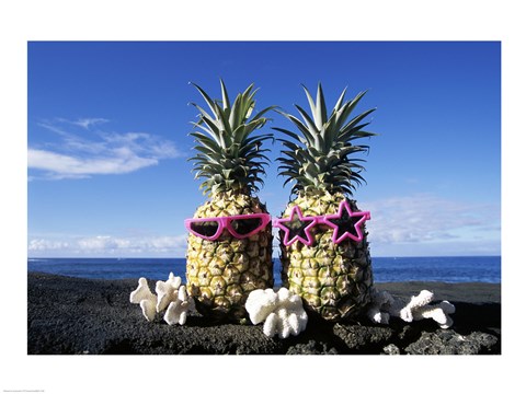 Framed Hawaii USA Pineapples Print
