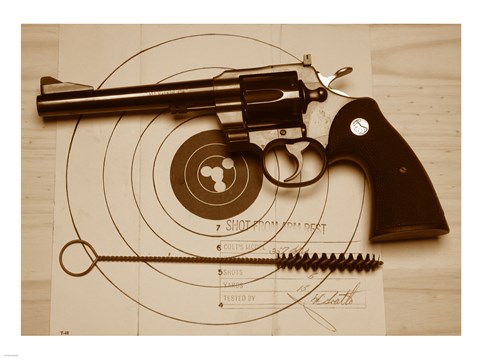 Framed Colt 357 Print