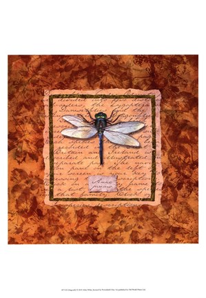 Framed Dragonfly Print