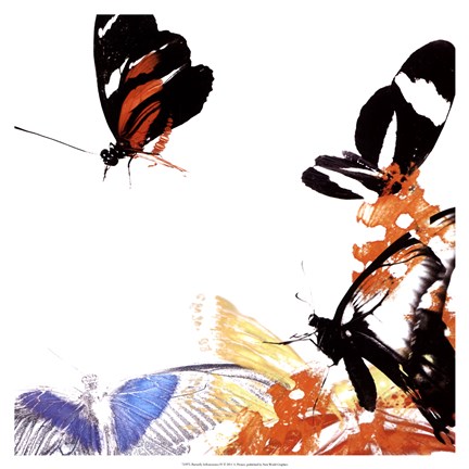Framed Butterfly Infloresence IV Print