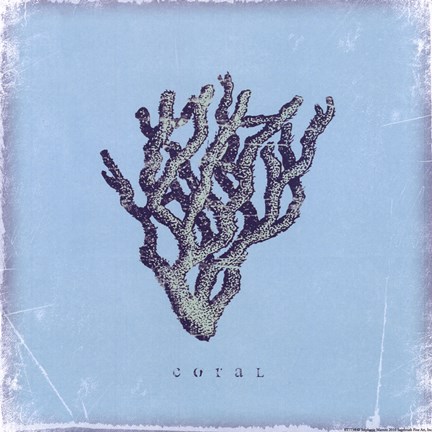 Framed Coral - blue Print