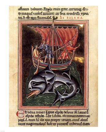 Framed 12th Century Painters - On Whales Folio from a Bestiary Print