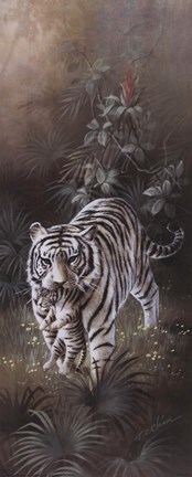 Framed White Tigers Print