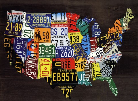 Framed USA Map II Print