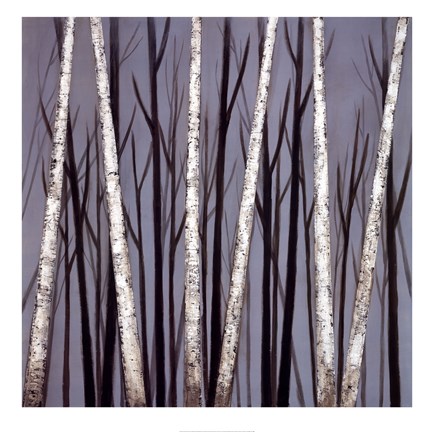 Framed Birch Shadows Print