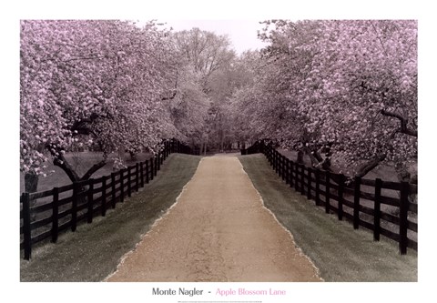 Framed Apple Blossom Lane Print