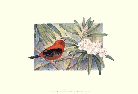 Framed Scarlet Tanager Print