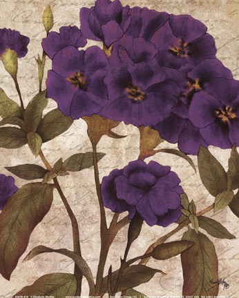 Framed Violet Botanicals II Print