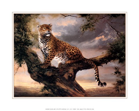 Framed Leopard in Tree Print