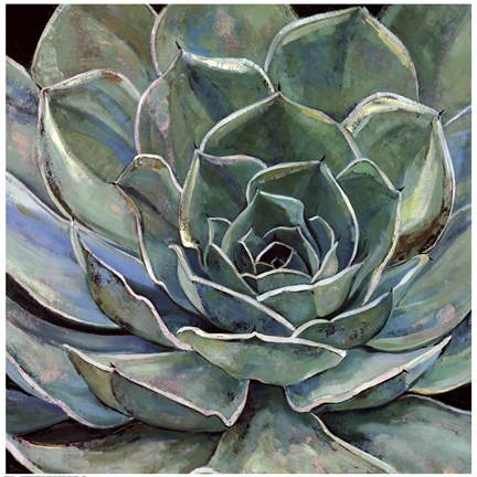 Framed Agave Flower Print