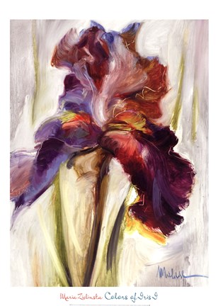 Framed Colors of Iris I Print