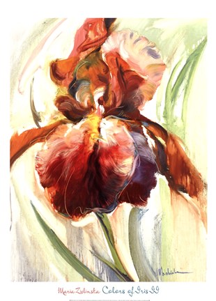 Framed Colors of Iris II Print