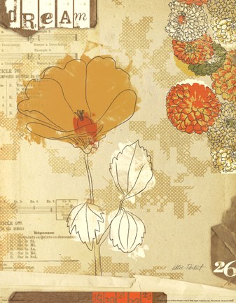 Framed Collaged Botanicals II Print