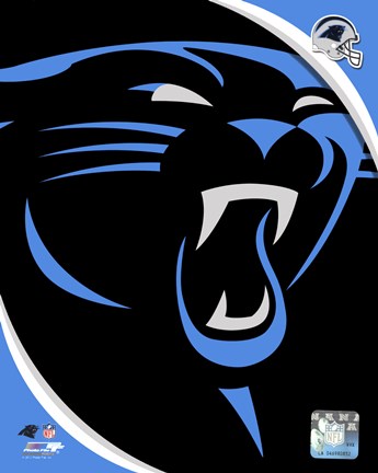 Framed Carolina Panthers 2012 Team Logo Print