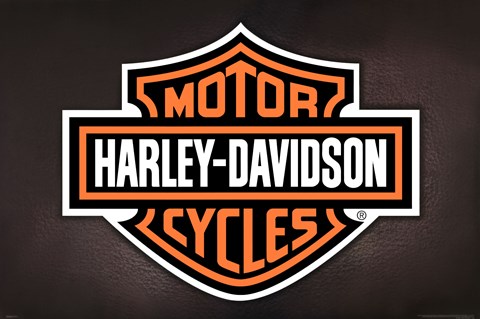 Framed Harley Davidson - Logo Print