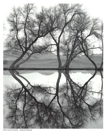 Framed Clarity in the Waters Print