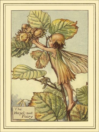 Framed Hazelnut Fairy Print