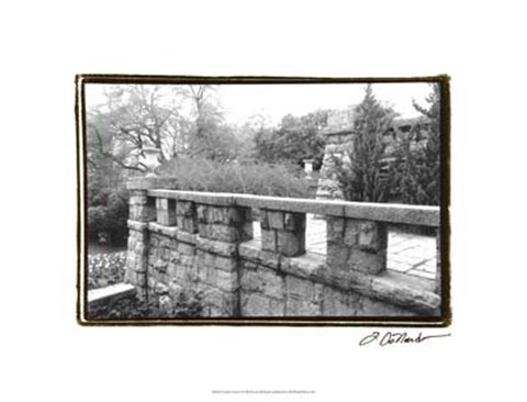 Framed Garden Grace I Print