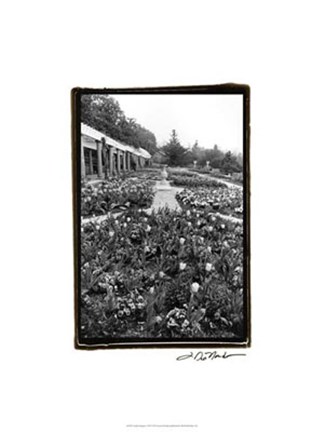 Framed Garden Elegance VIII Print