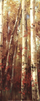 Framed Birch Forest I - Mini Print