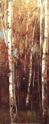 Framed Birch Forest II - Mini Print