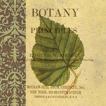 Framed Botany Principles III Print