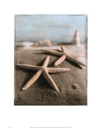 Framed Seashell IV (starfish) Print