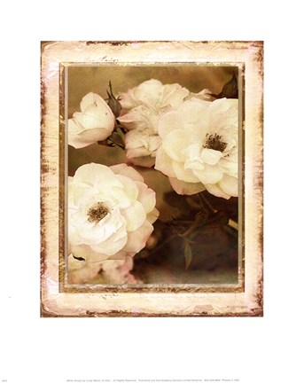 Framed ROSE- WHITE Print