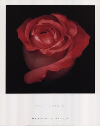 Framed Romance Print