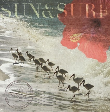 Framed Sun &amp; Surf Print