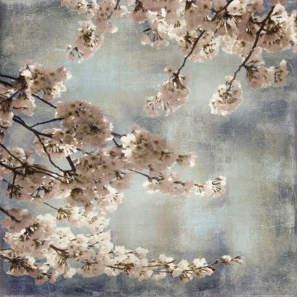 Framed Aqua Blossoms II Print