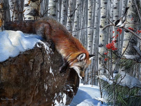 Framed Fox in Winter Print