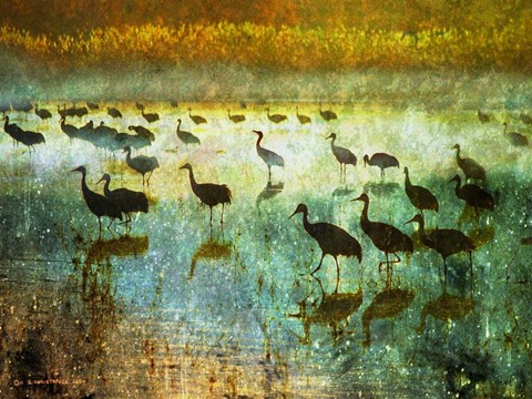 Framed Cranes in Mist I Print