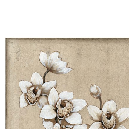 Framed White Orchid I Print