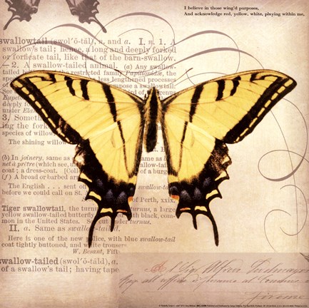 Framed Butterflies Script V - mini Print